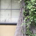 2025年問題により大相続時代突入【今から考えておきたい相続と空き家】